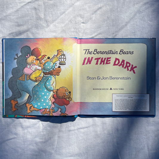 2003 The Berenstain Bears In The Dark