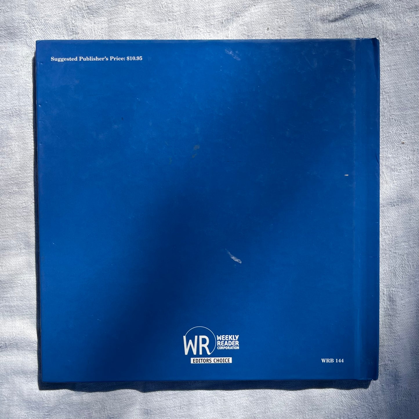 2003 The Berenstain Bears In The Dark