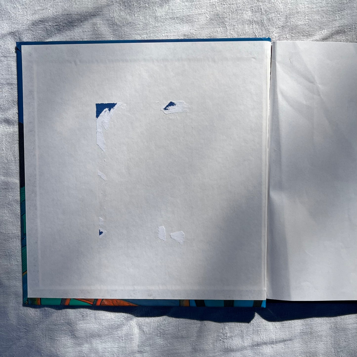 2003 The Berenstain Bears In The Dark